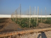DSCN0610